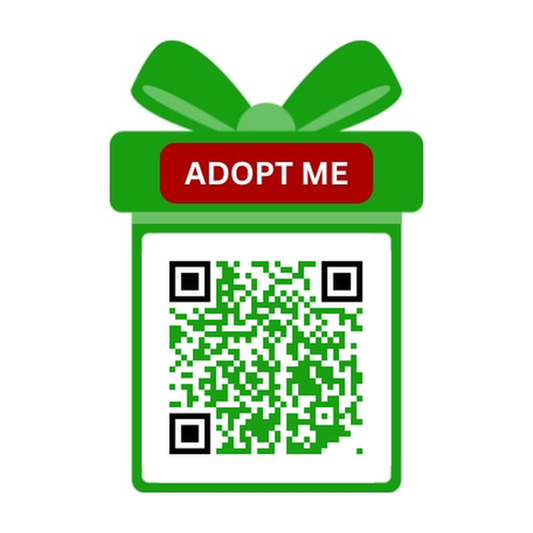 Adopt-A-College Student