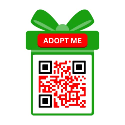 NJ-2025-0003: FAMILY BACKGROUND: 29-year-old married mother of two daughters is working full time and attending online college while her husband recovers from a work injury, leaving the family dependent on a single income.